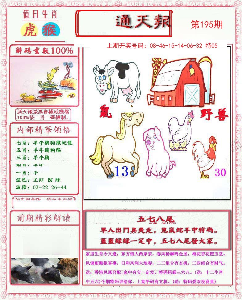 2024195期小喜通天报