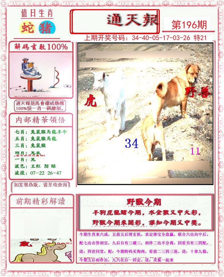 2024196期小喜通天报