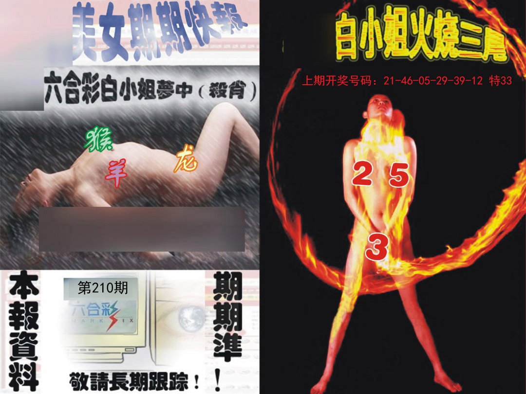2024210期环球美女特码报
