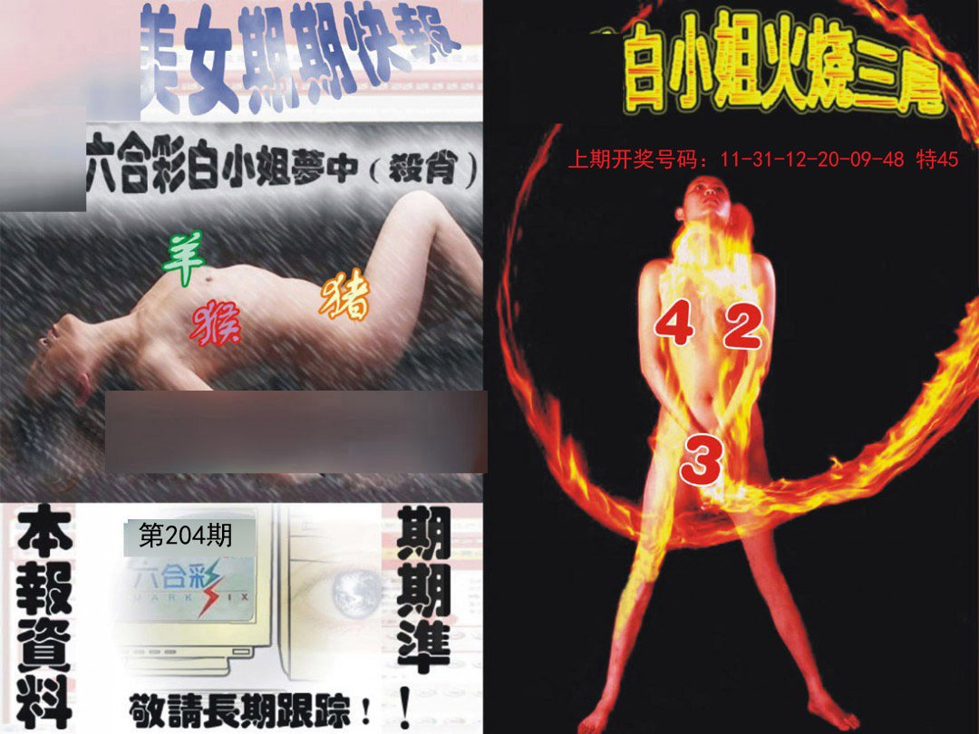 2024204期环球美女特码报