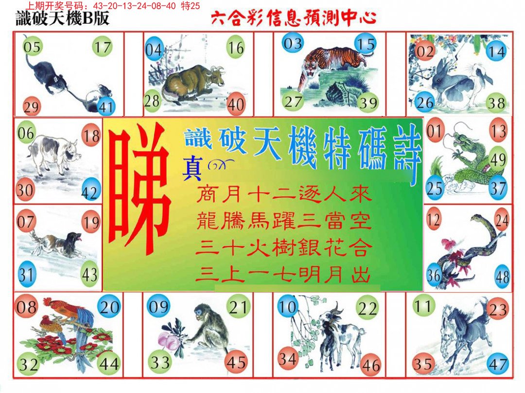 2024202期识破天机B版