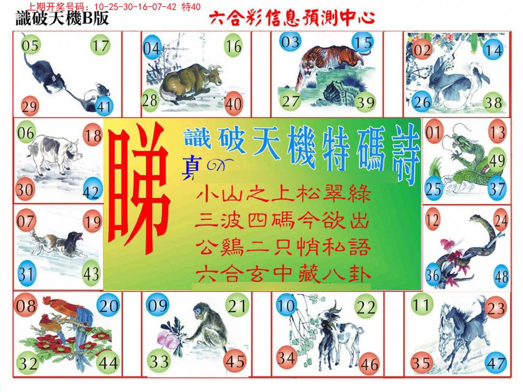 2024206期识破天机B版