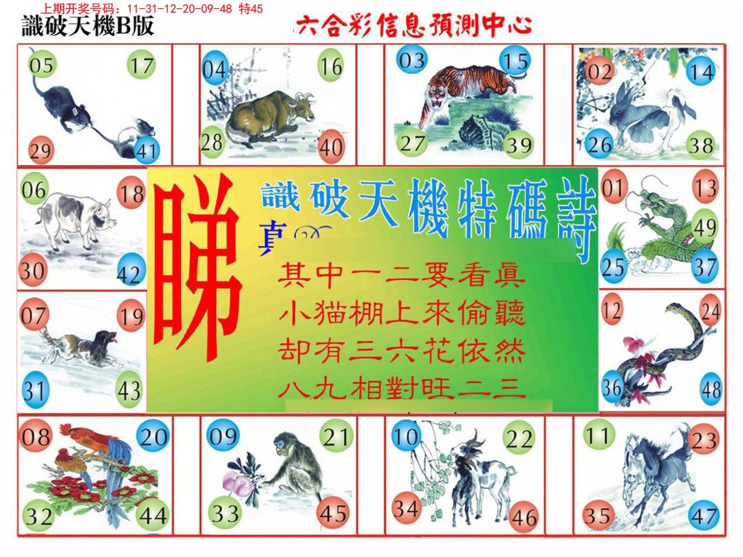 2024204期识破天机B版