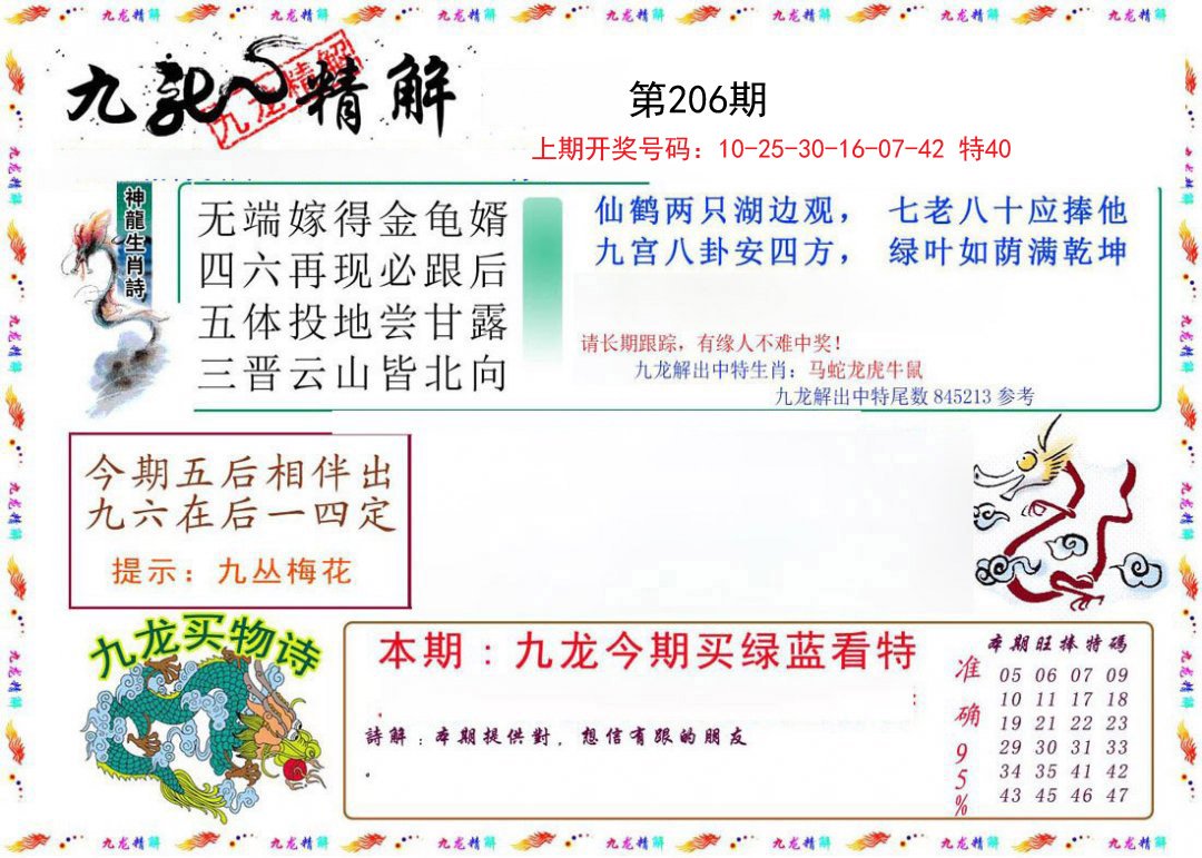 2024206期九龙精解