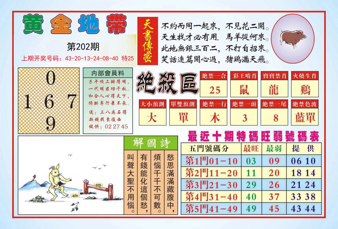 2024202期黄金地带