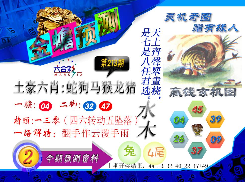 2024213期金蟾预测