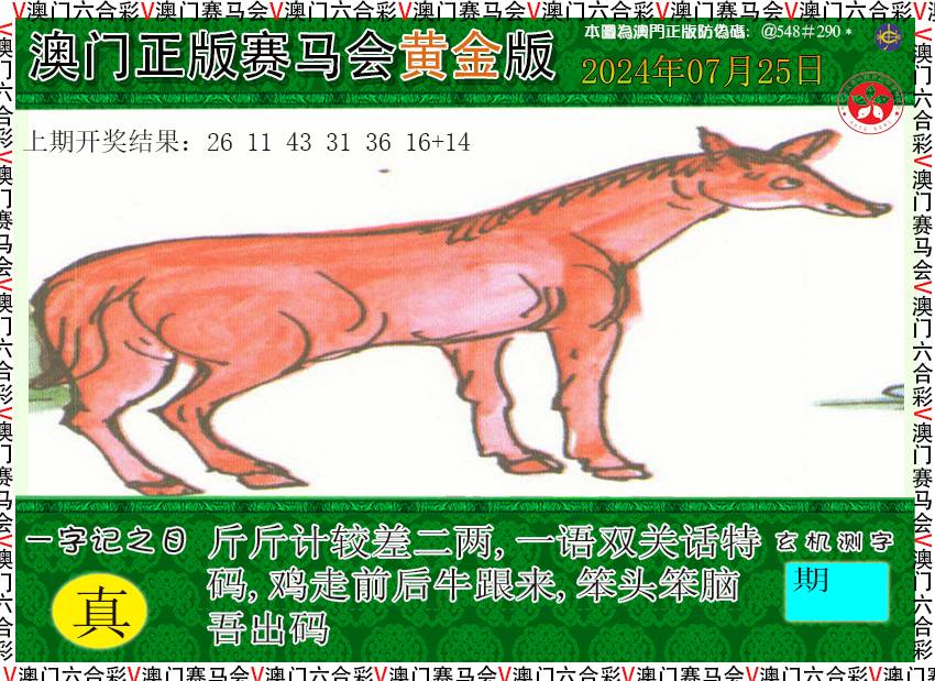 2024207期赛马会黄金版