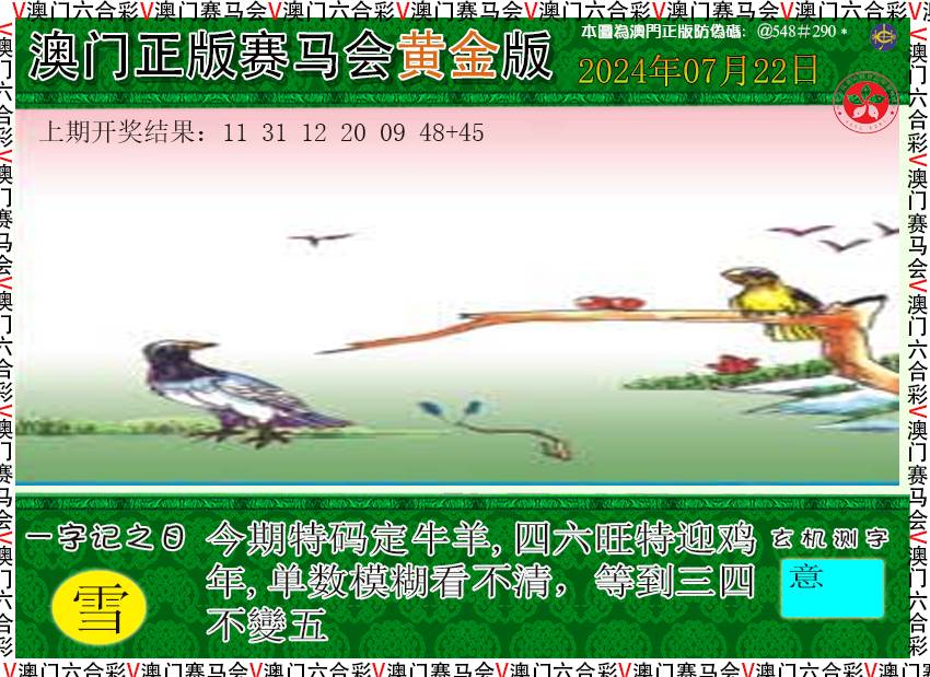 2024204期赛马会黄金版