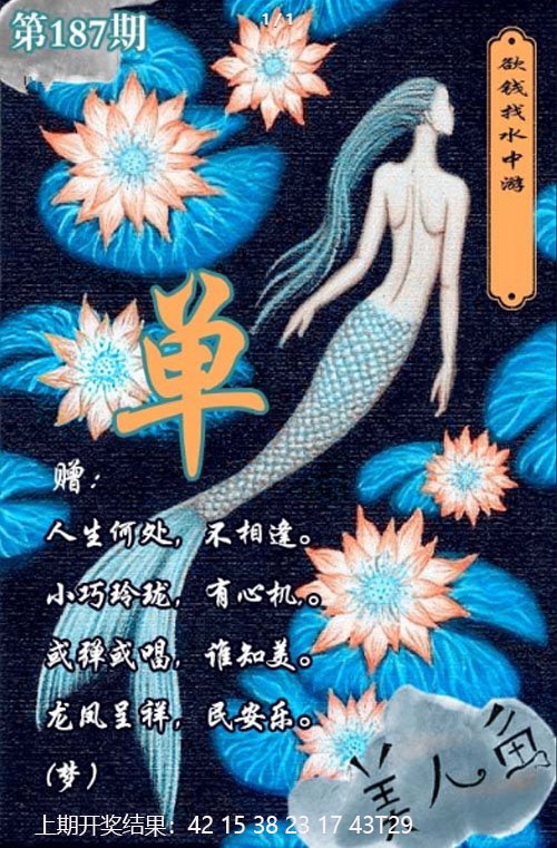 2024187期美人鱼单双中特图
