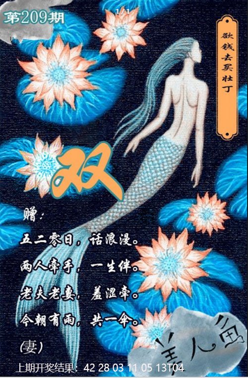 2024209期美人鱼单双中特图