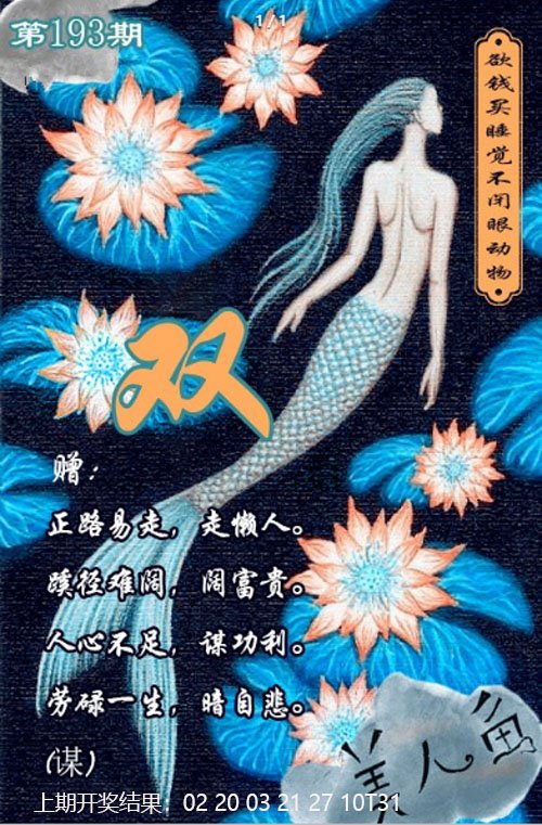 2024193期美人鱼单双中特图