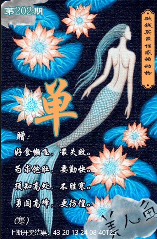 2024202期美人鱼单双中特图