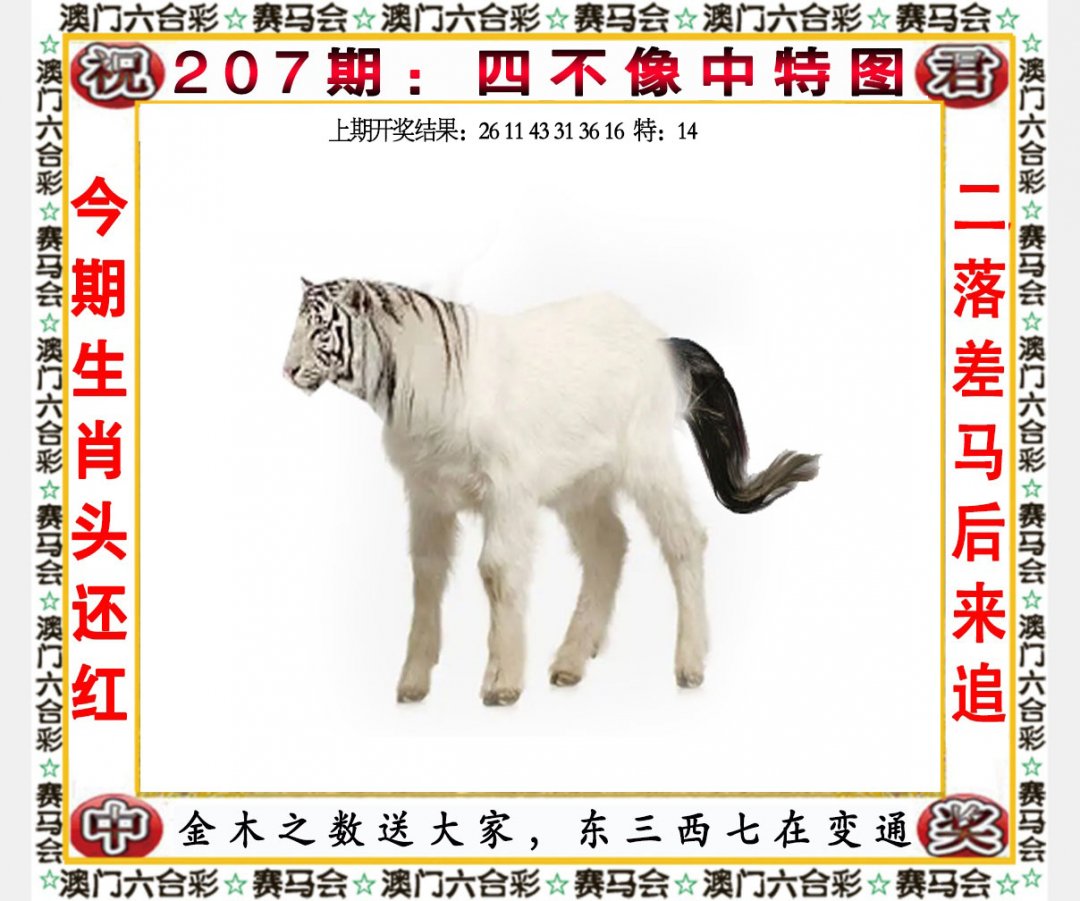 2024207期四不像中特图