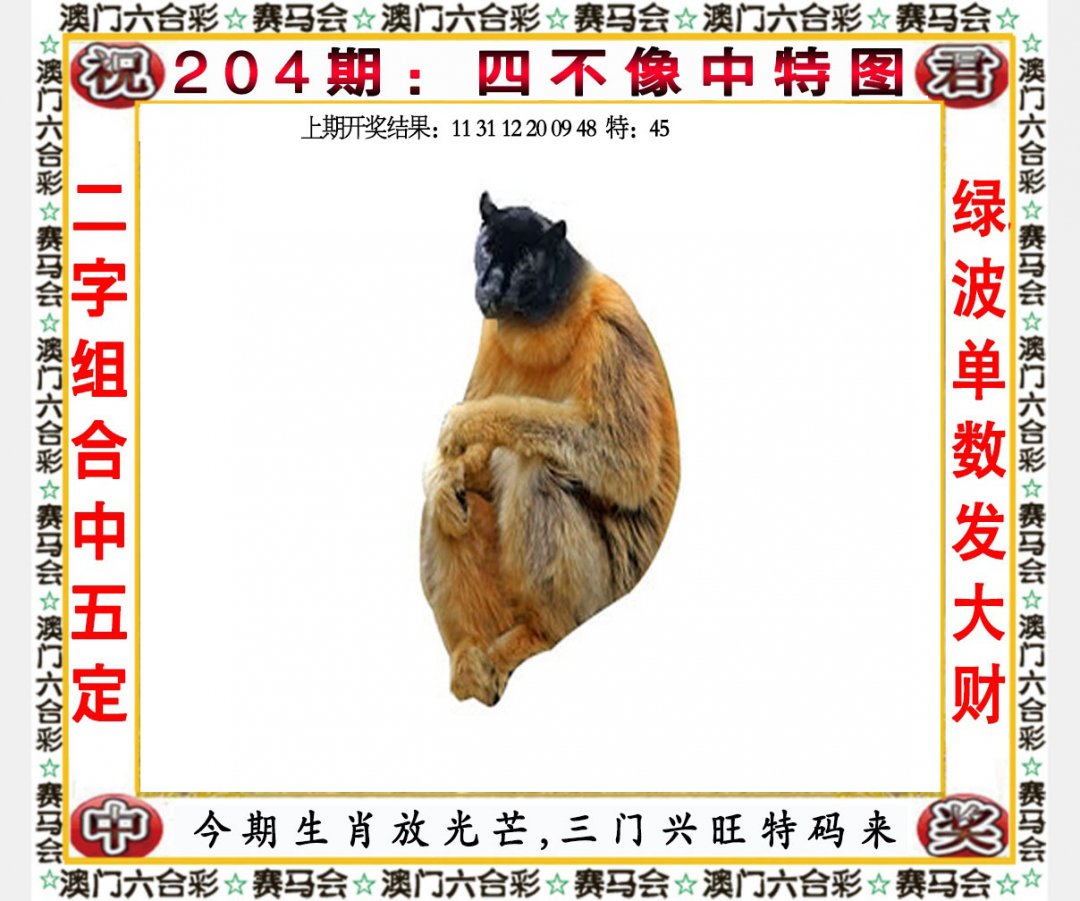 2024204期四不像中特图