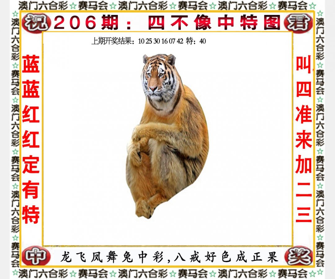 2024206期四不像中特图