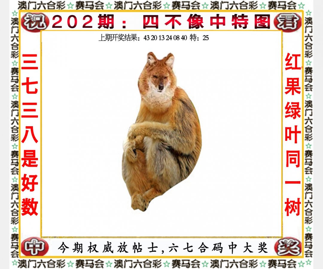 2024202期四不像中特图