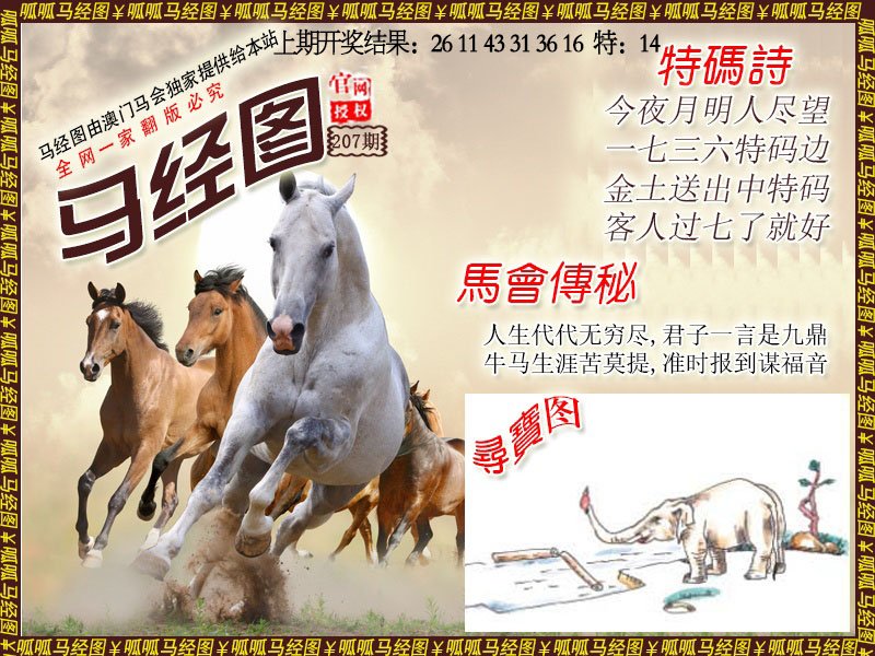 2024207期马经1