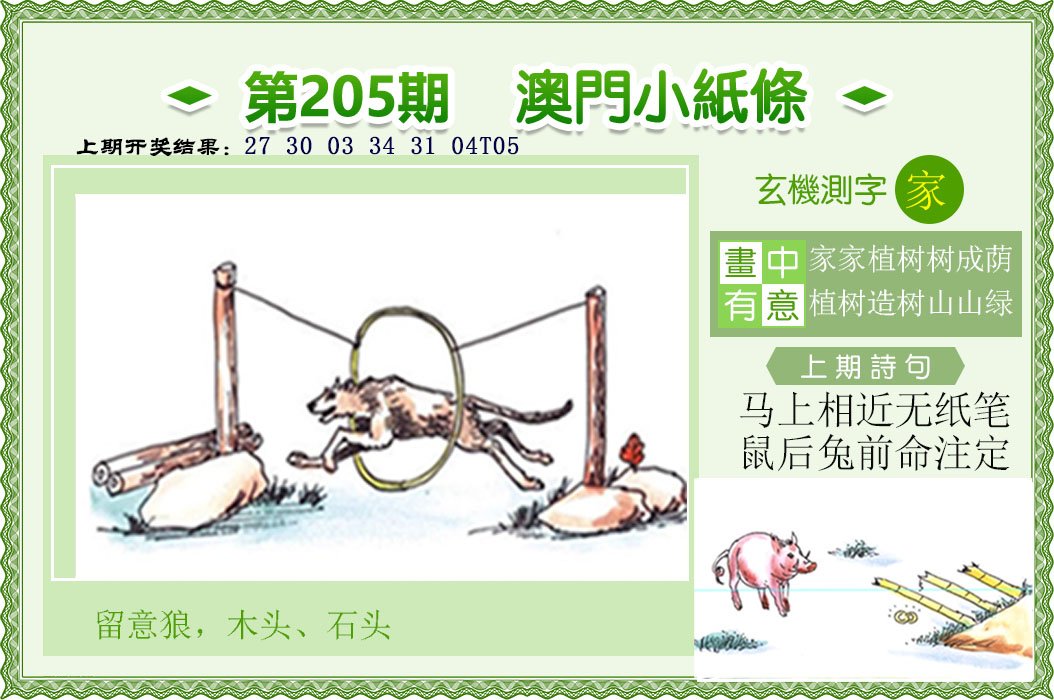 2024205期澳门小纸条