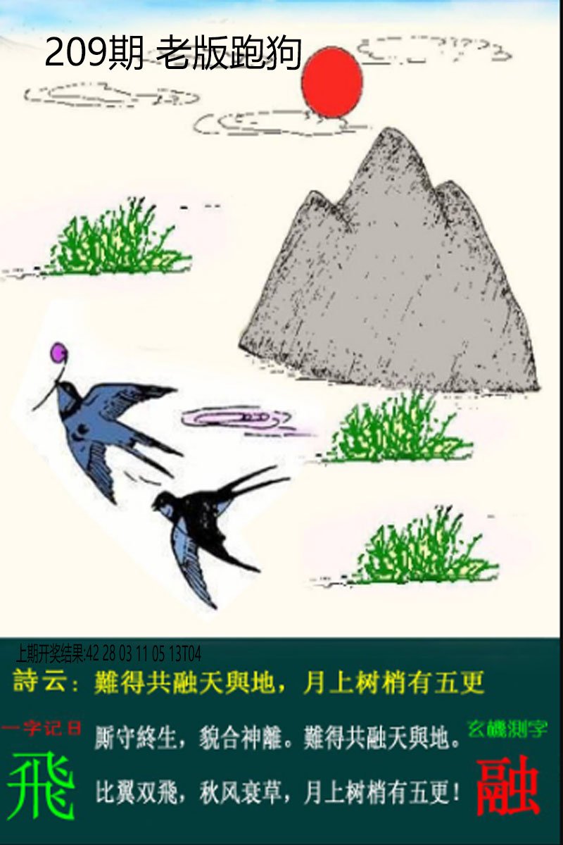 2024209期老板跑狗