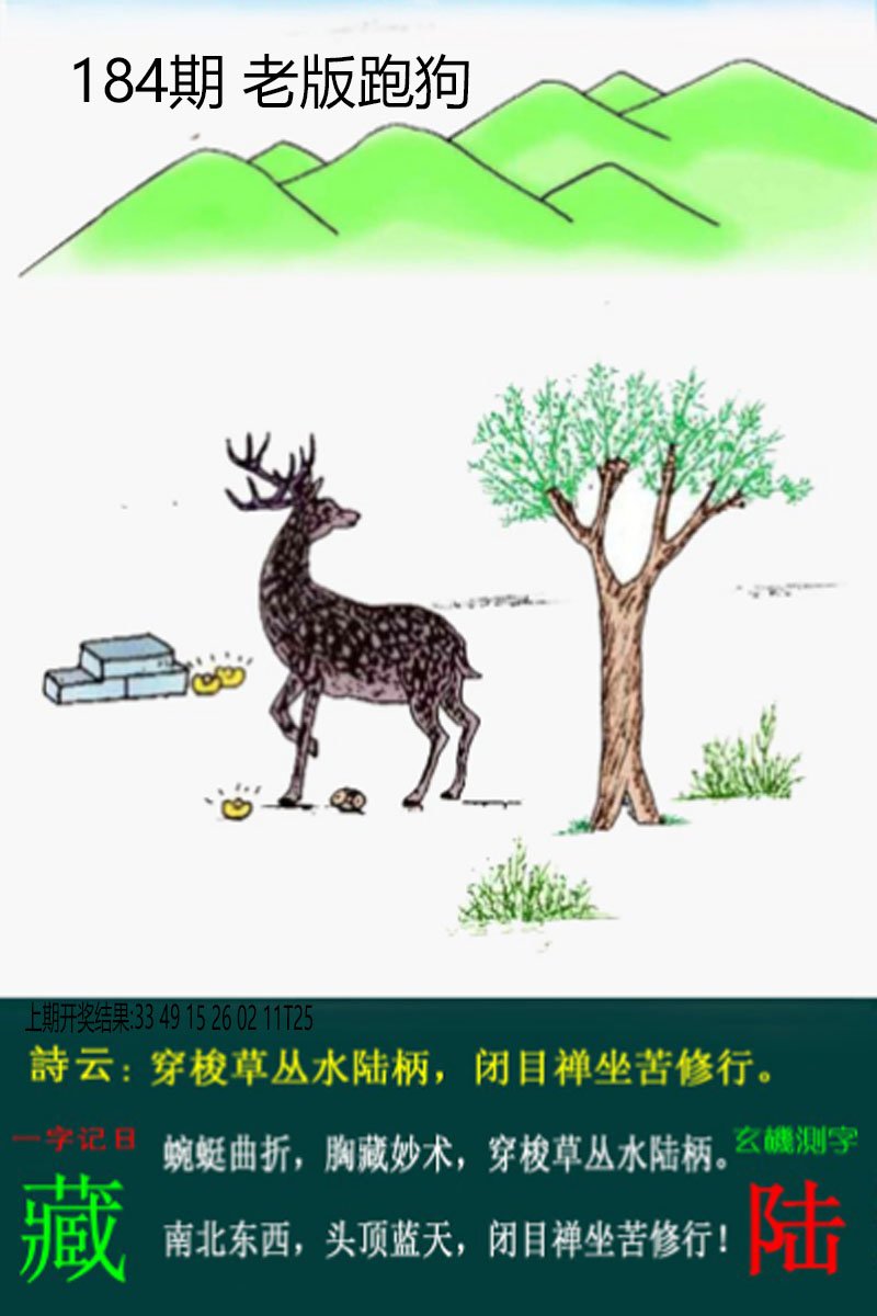 2024184期老板跑狗