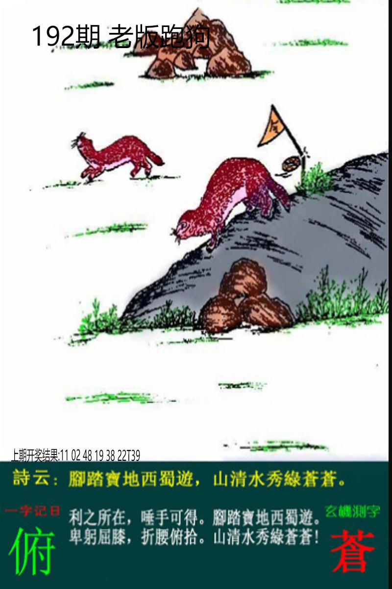 2024192期老板跑狗