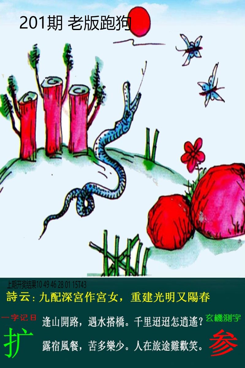 2024201期老板跑狗