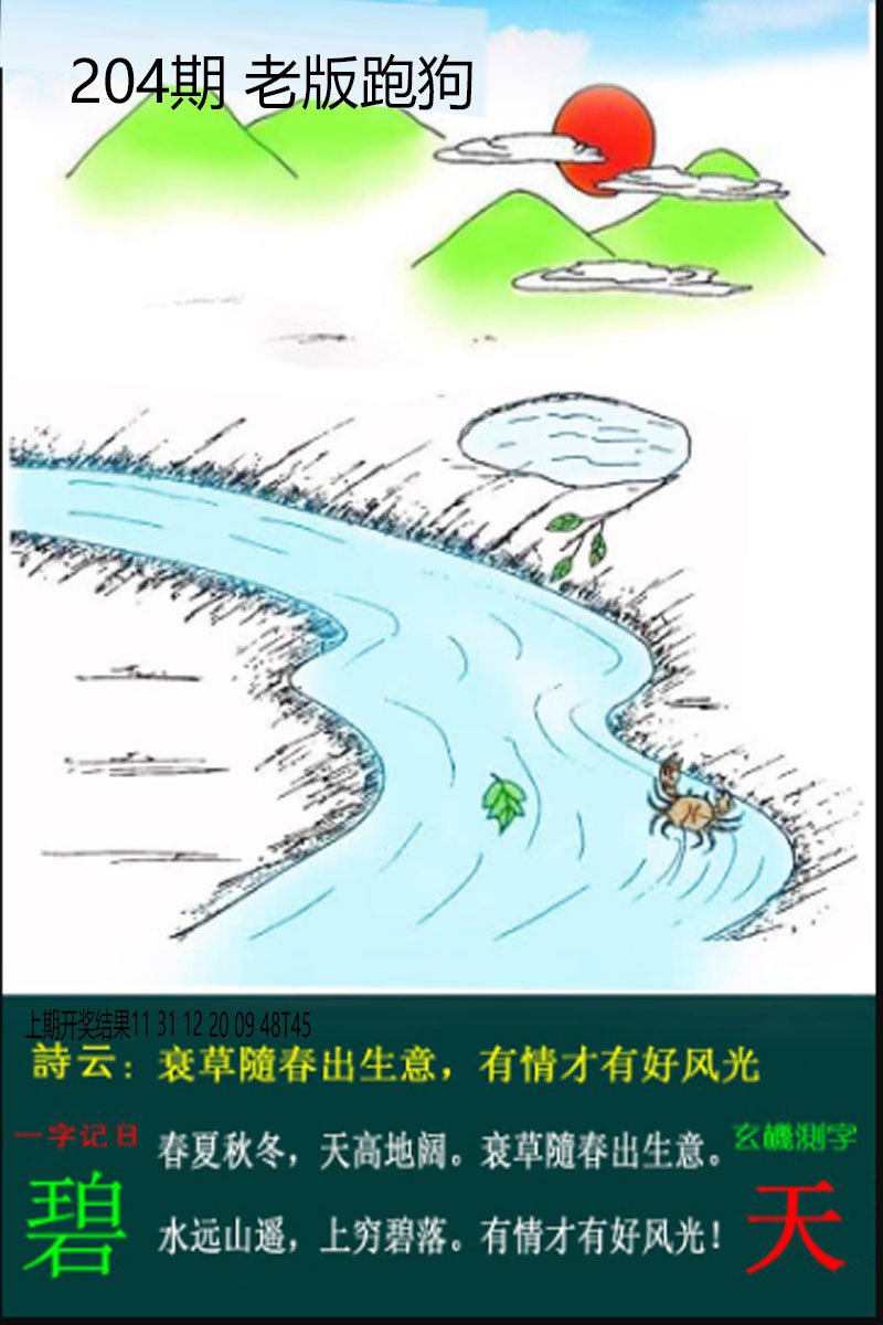 2024204期老板跑狗