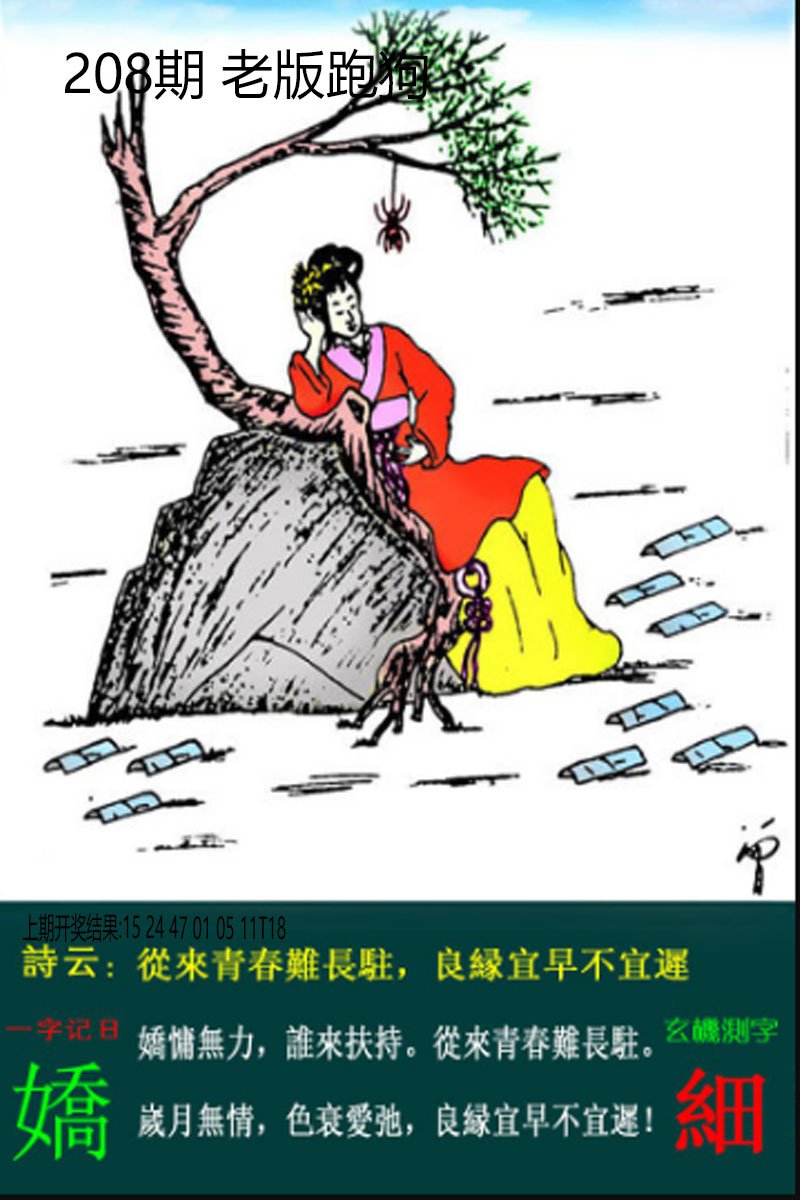 2024208期老板跑狗