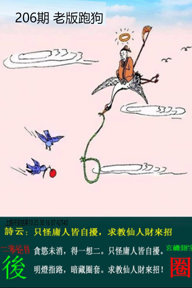 2024206期老板跑狗