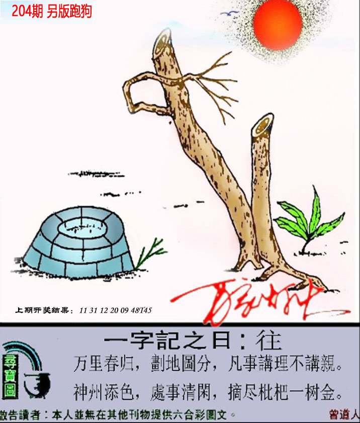 2024204期澳门跑狗另版