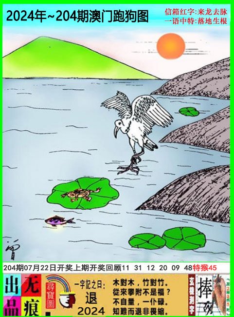 2024204期澳门跑狗无痕版