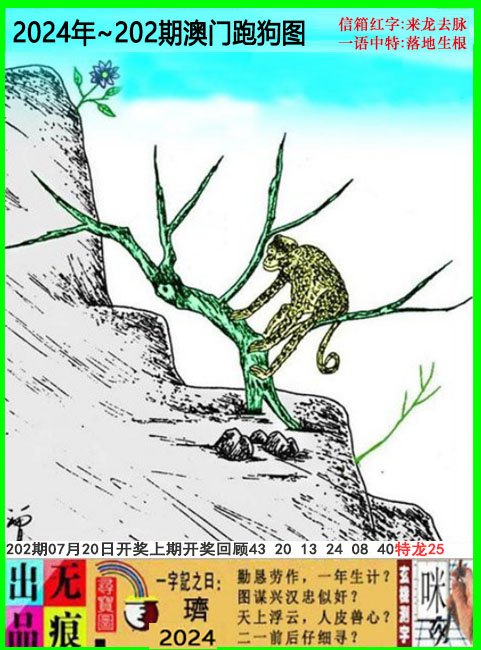 2024202期澳门跑狗无痕版