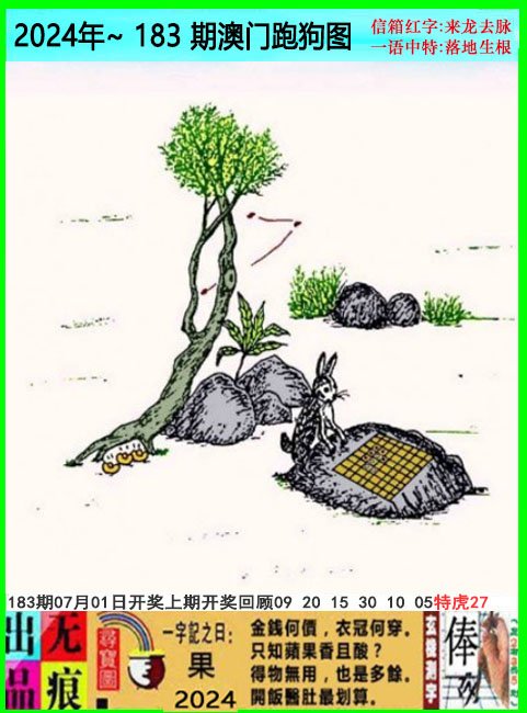 2024183期澳门跑狗无痕版