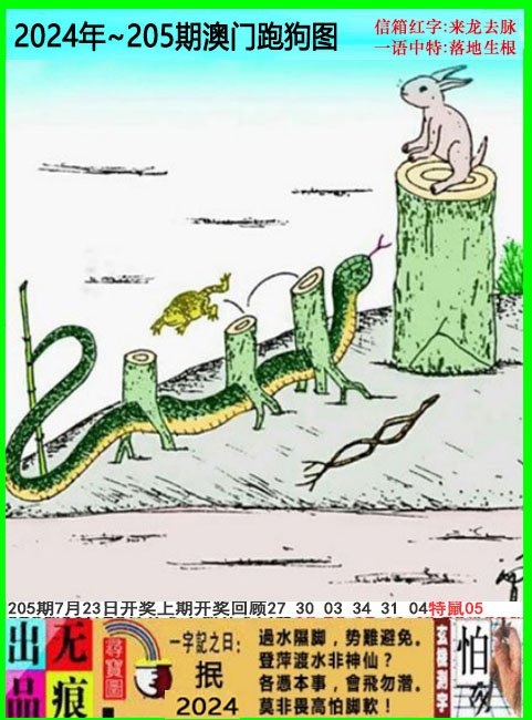 2024205期澳门跑狗无痕版