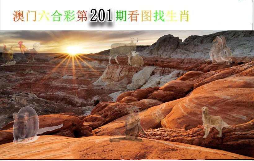 2024201期看图找生肖