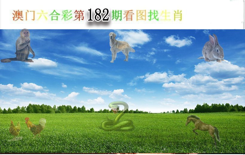2024182期看图找生肖
