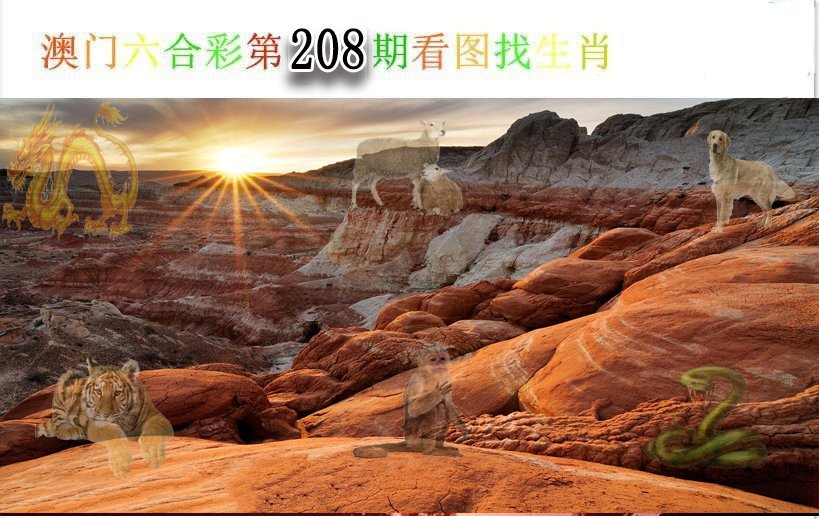 2024208期看图找生肖