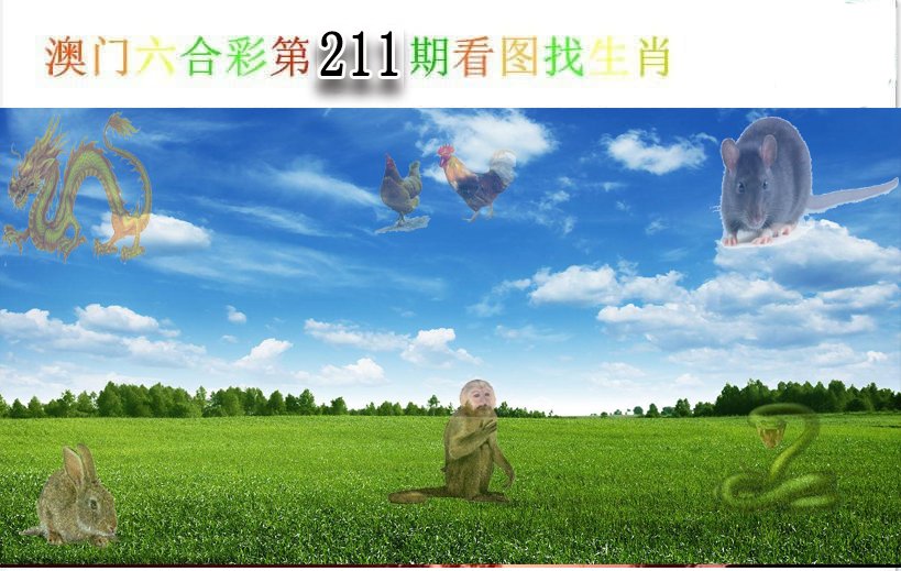 2024211期看图找生肖