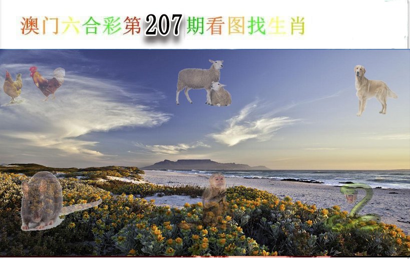 2024207期看图找生肖