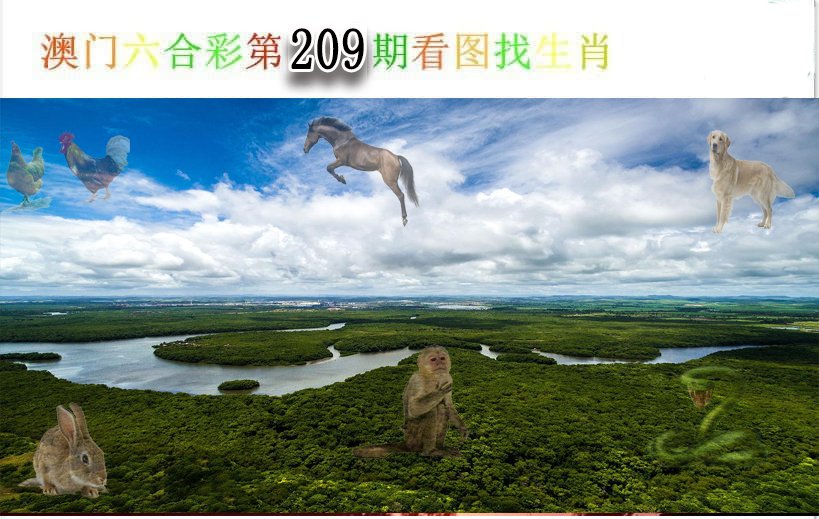 2024209期看图找生肖