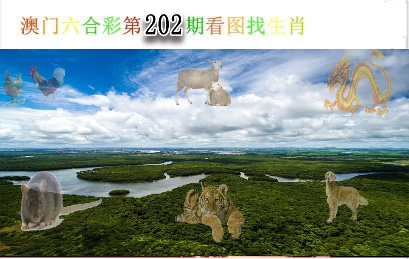 2024202期看图找生肖
