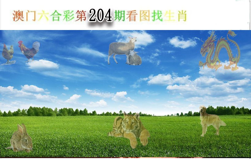 2024204期看图找生肖