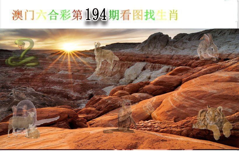 2024194期看图找生肖
