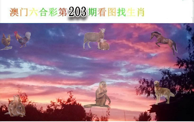 2024203期看图找生肖