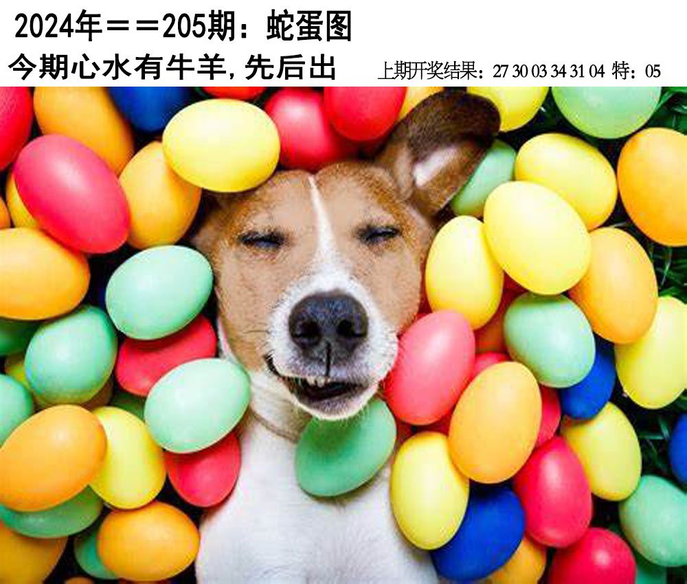 2024205期另版蛇蛋图