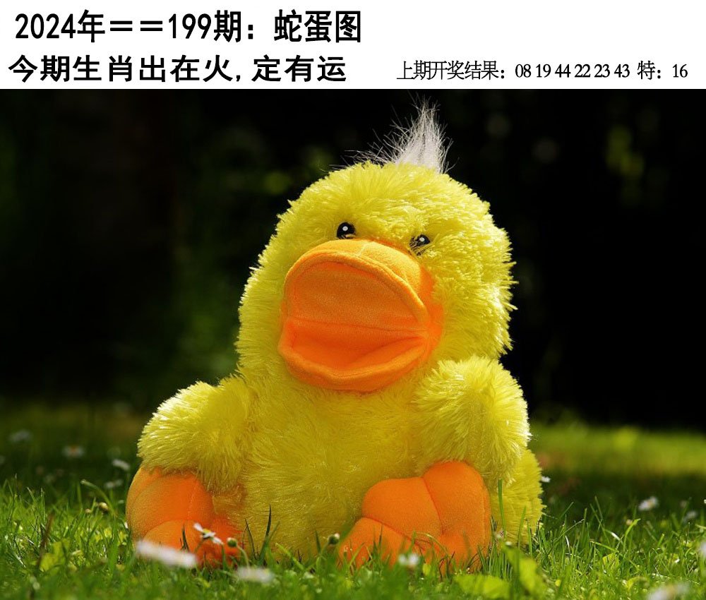 2024199期另版蛇蛋图