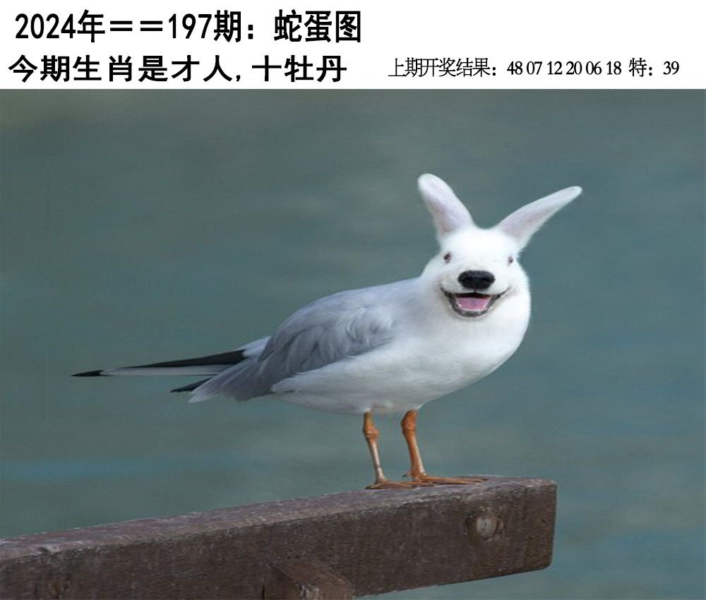 2024197期另版蛇蛋图