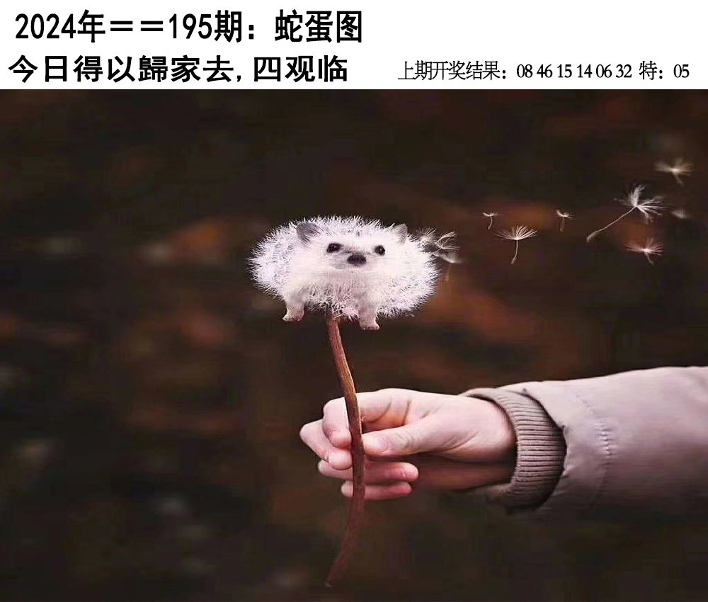 2024195期另版蛇蛋图