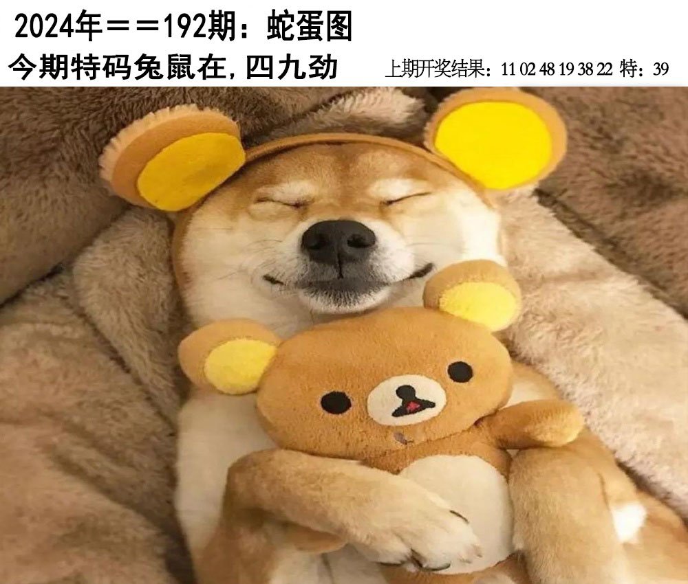 2024192期另版蛇蛋图