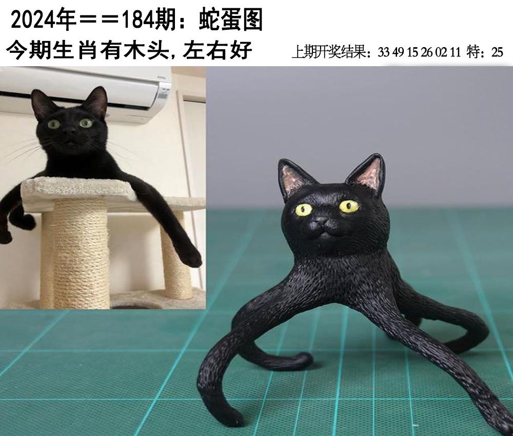 2024184期另版蛇蛋图